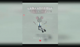 哲理短视频,启迪心灵的瞬间智慧